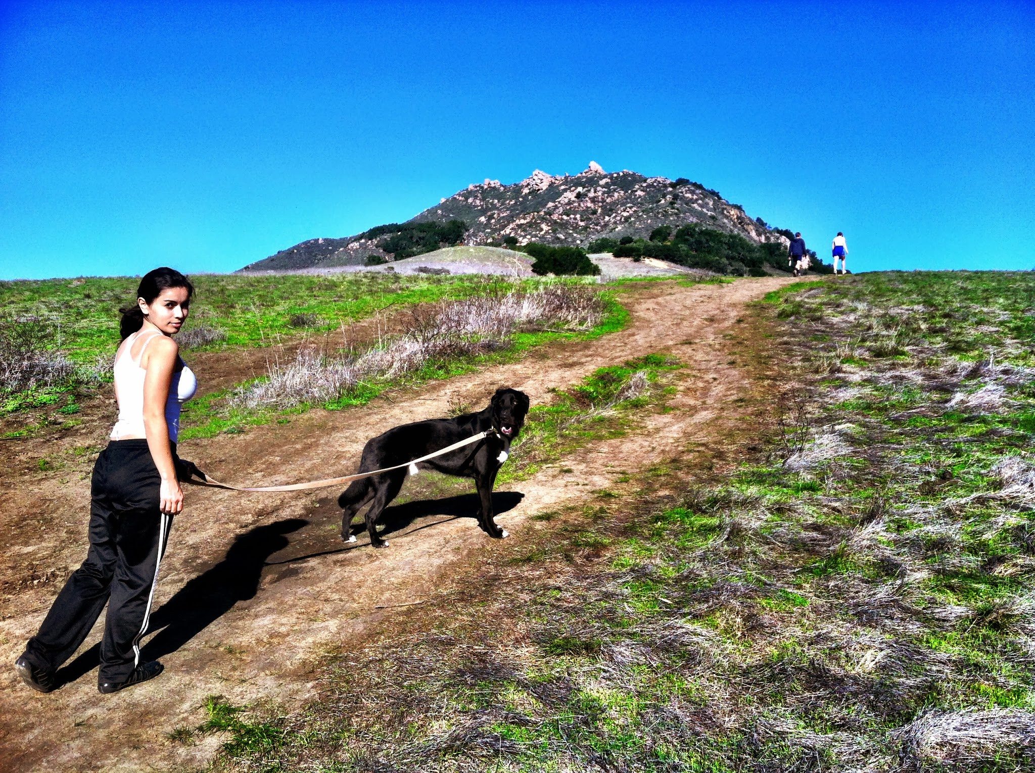 hike with_Mav_dog