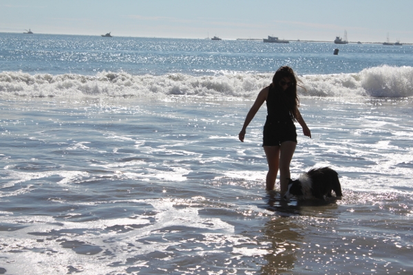 Avila Beach with border collie puppy