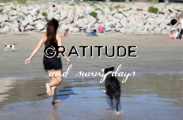 Gratitude in Avila Beach