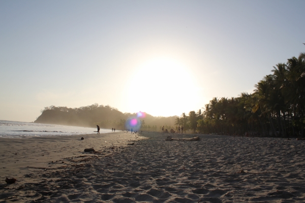 Nosara | Playa Guiones