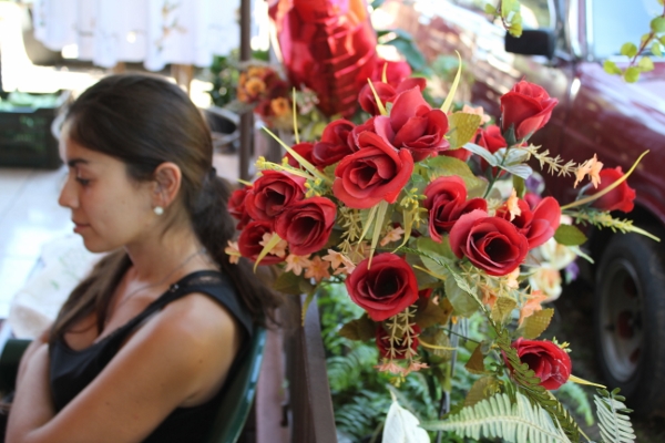 Valentine's Day wedding in Costa Rica