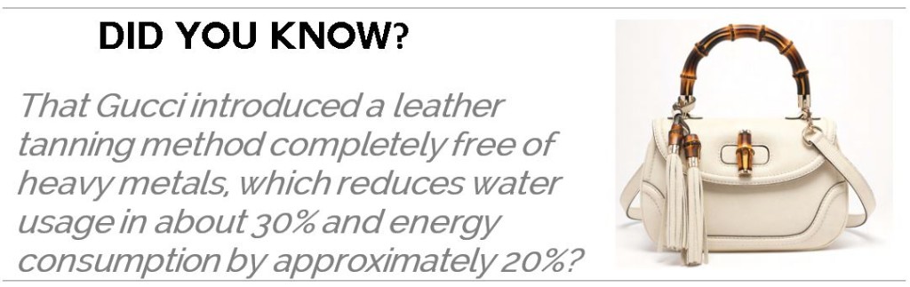 Kering Sustainability Facts | Fashionhedge