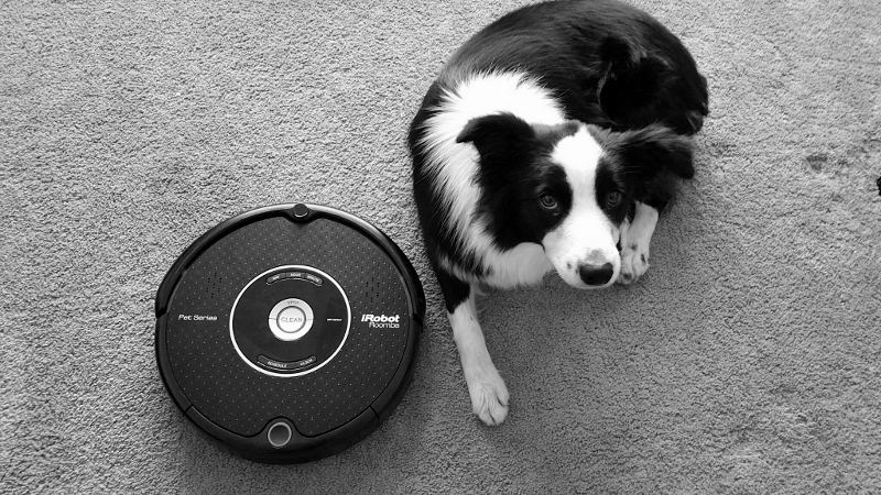 Roomba and Mikey | Mother's Day Gift Guide | Fashionhedge