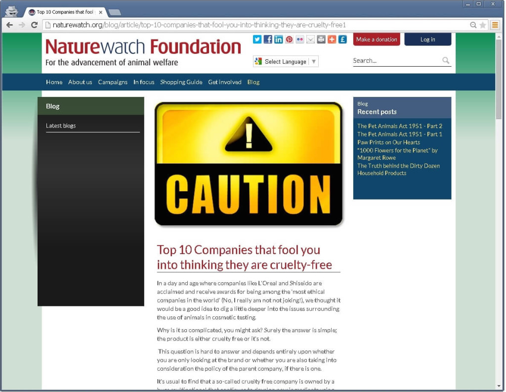 Top 10 Companies that fool you into thinking they are cruelty-free