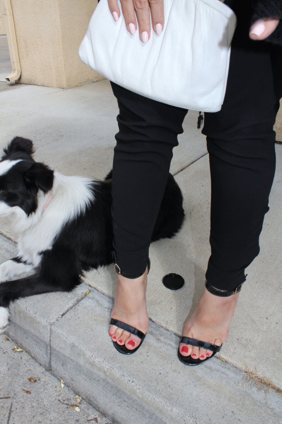 Slow Fashion Photo of the Week | High-waisted pants, vintage top with a knot, vintage clutch, black vegan ankle strap sandals, border collie puppy | Fashionhedge