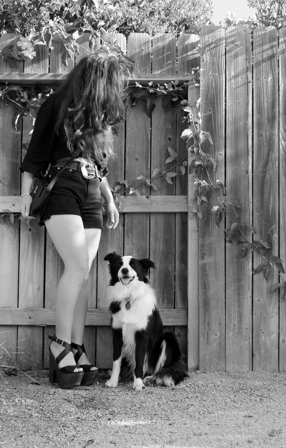 My ootd look and my dog Mikey, puppy border collie