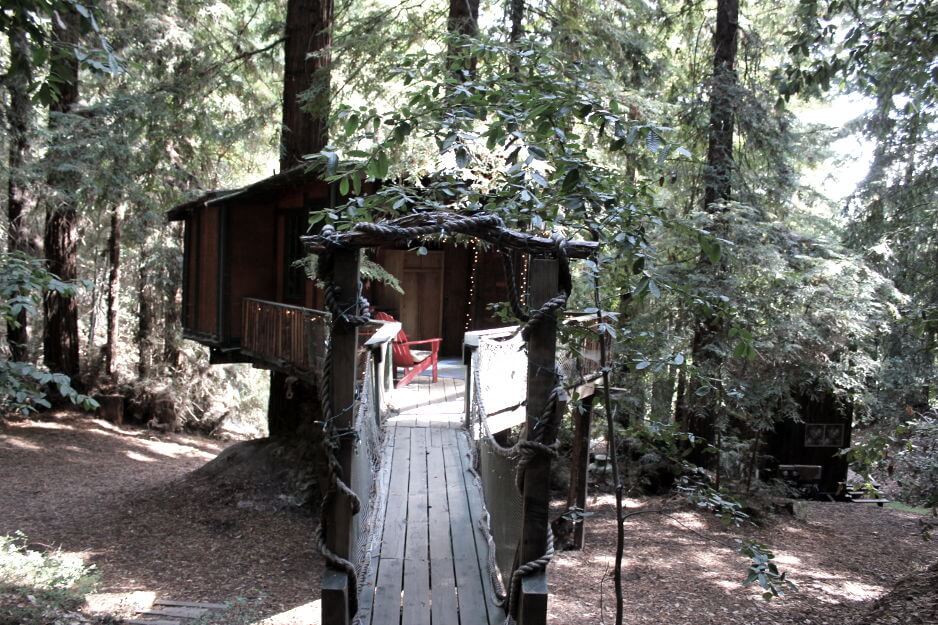 Redwood tree house eco friendly vacation getaway