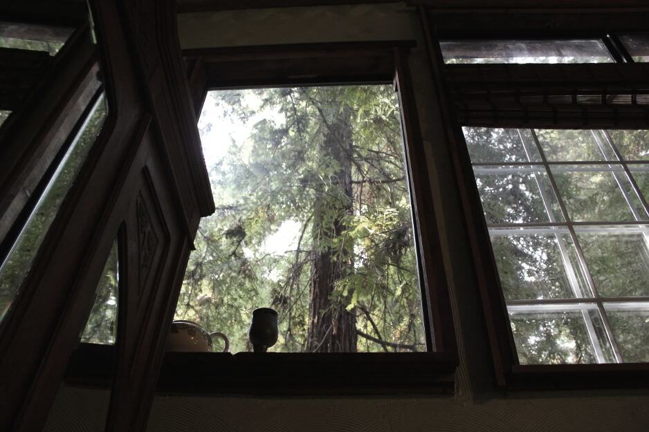 Redwoord treehouse inside windows 1