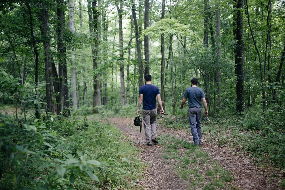 Bloodroot Knives uses wood from their own farm in Georgia