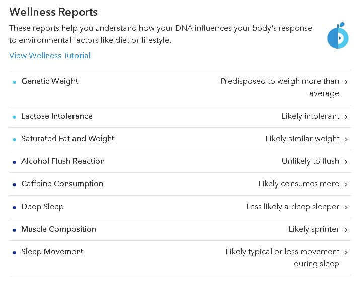 wellness report