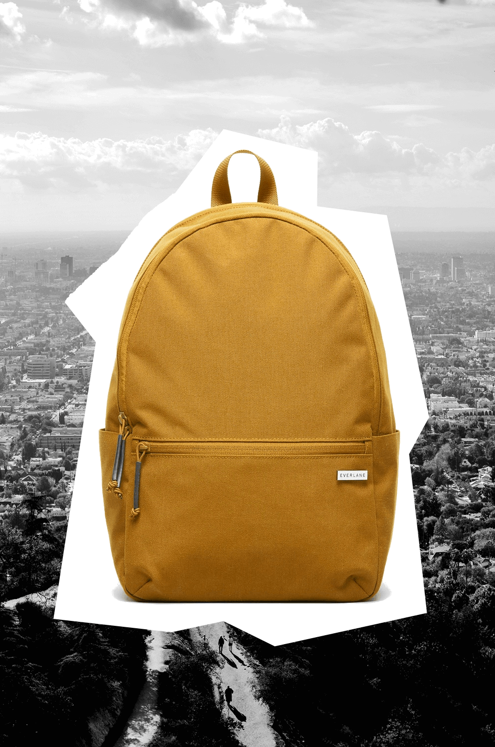 Everlane 2024 nylon backpack